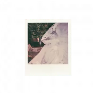 Купити Касети Polaroid i-Type – в фотомагазині Polaclub