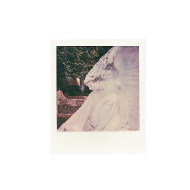 polaroid i type film 2 iamcanyon min polaroid i type film 2 iamcanyon min