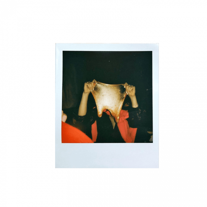 polaroid 600 film x5 3 polaroddy min