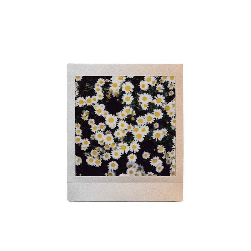 Fujifilm Instax Square Sunset 3