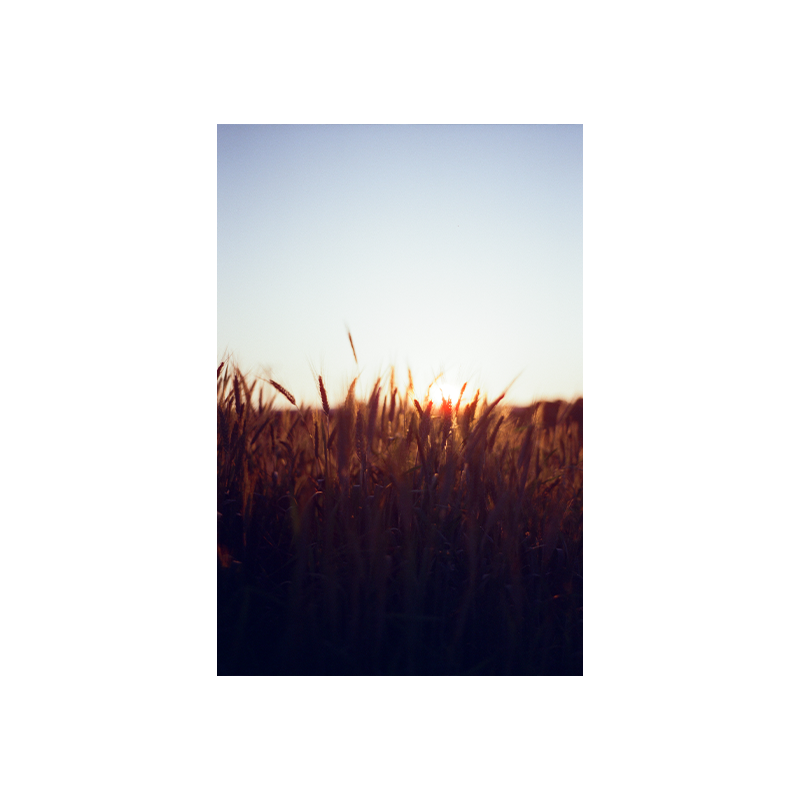 cinestill 400_2 cinestill 400 2