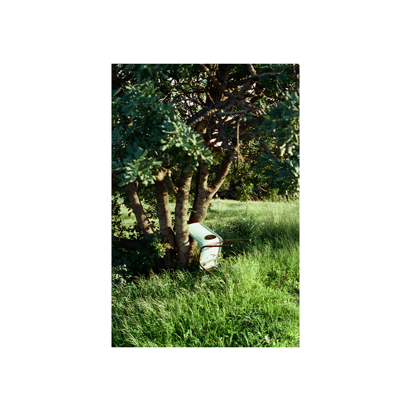 cinestill 400_4 cinestill 400 4