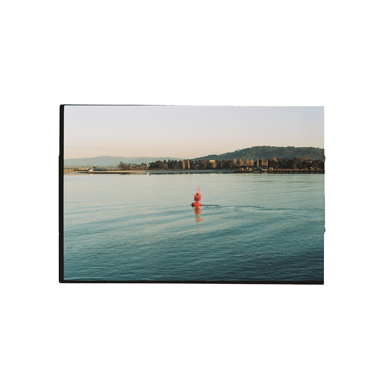 portra 400 8 portra 400 8