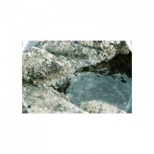 LomoChrome Metropolis