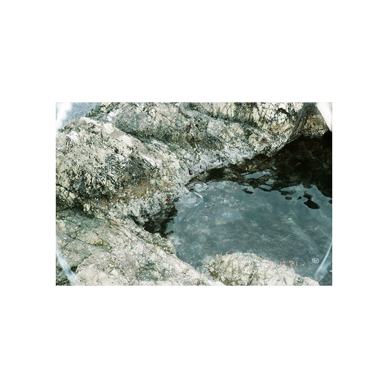 lomochrome metropolis_1 lomochrome metropolis 1