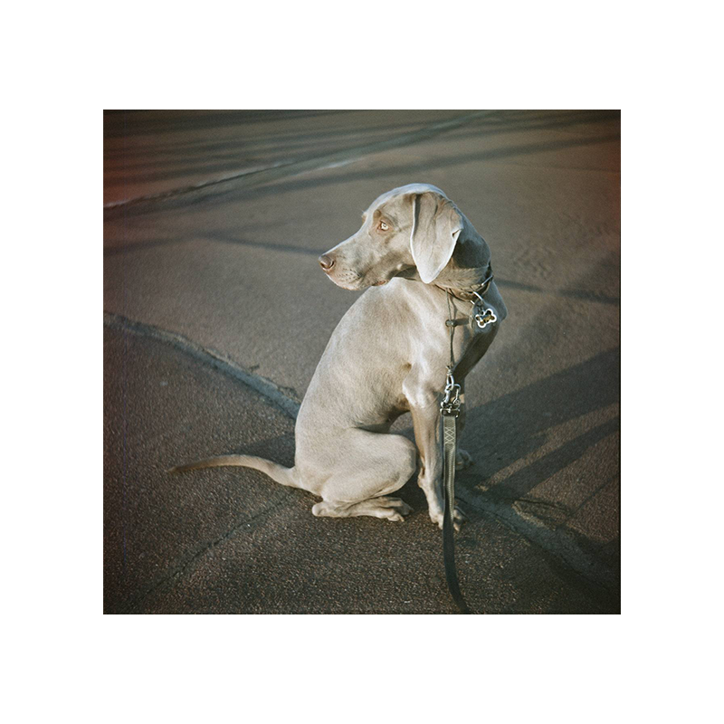 lomochrome metropolis_3 lomochrome metropolis 3