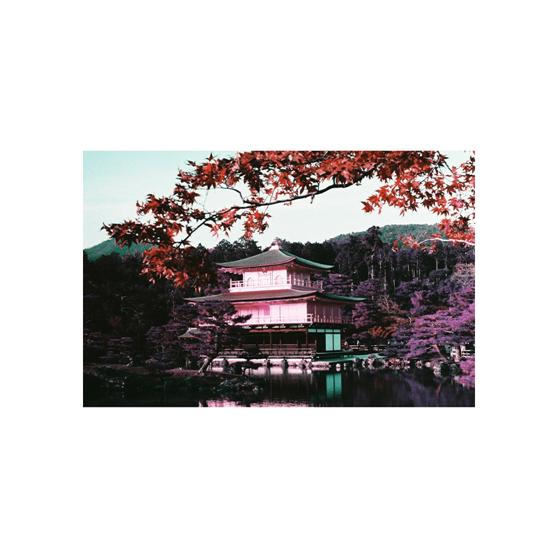 Lomochrome purple 2