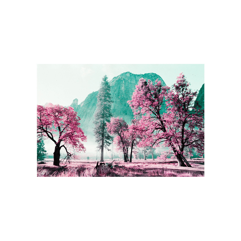 Lomochrome purple 3