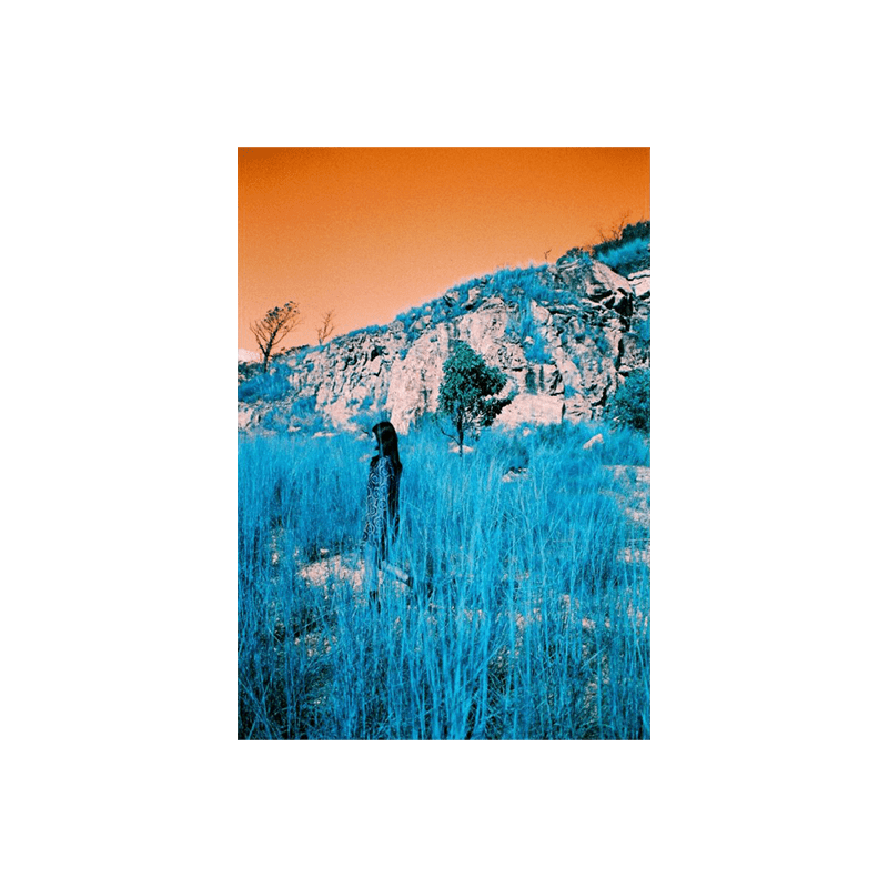 Lomochrome turquoise 4