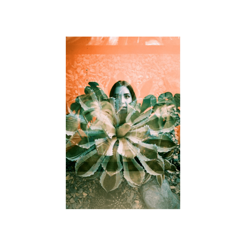 Lomochrome turquoise 5