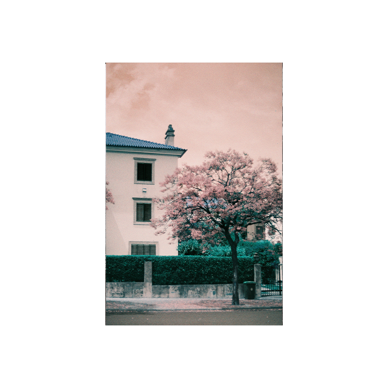 LomoChrome Turquoise 03