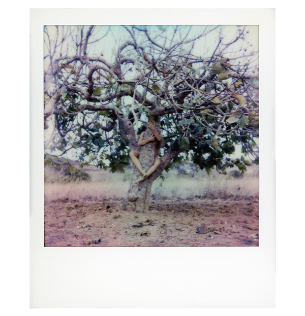 Вихід із тіні в дзеркало свободи: історія автопортретів Ельміри