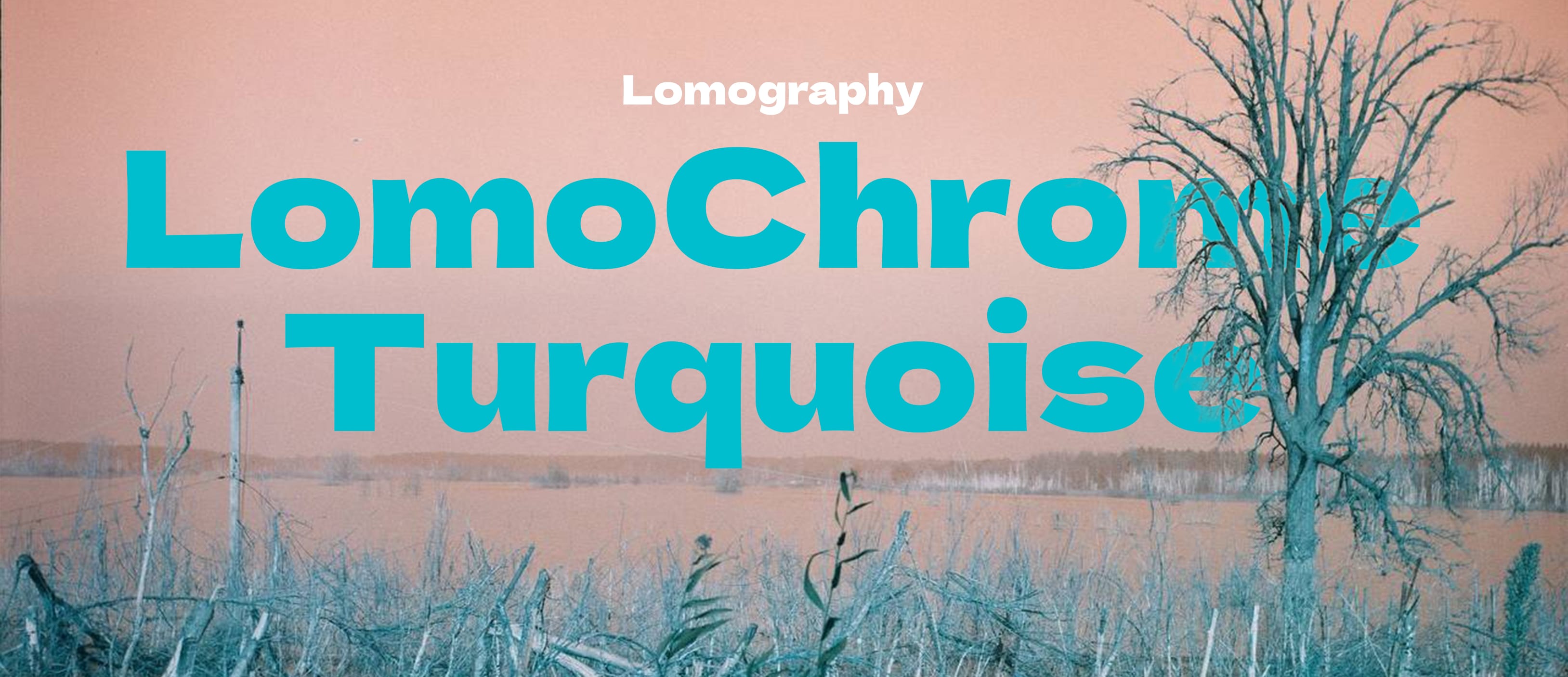 lomo turquoise