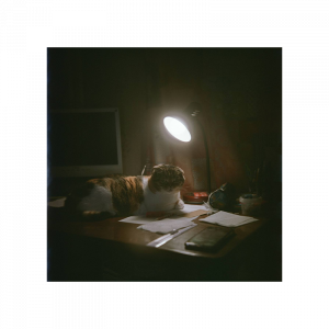 LomoChrome Color ’92 Sun-Kissed