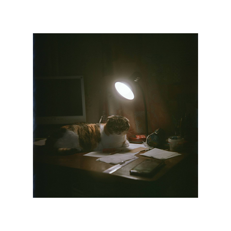 lomochrome color 92 2