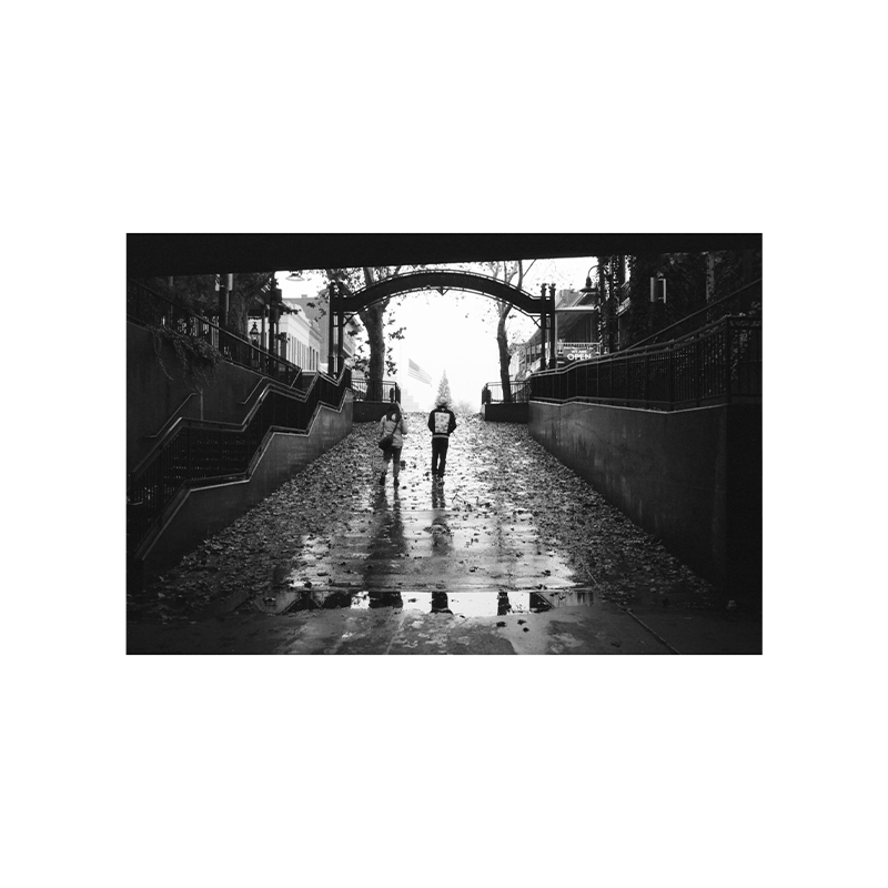 Lomography LadyGrey 3