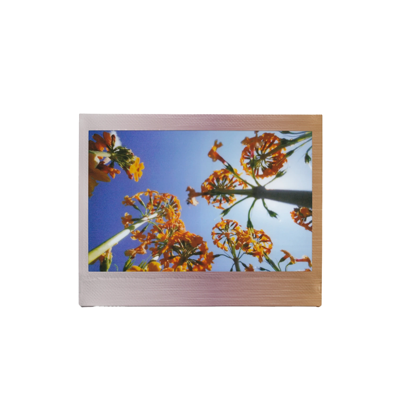 instax wide brushed metallics 4