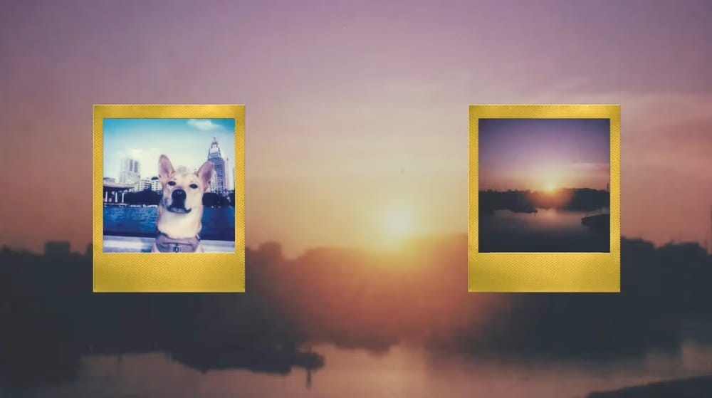 d39ecdbd441bb4d9be27df248e80b3064eda2982 2846x1592