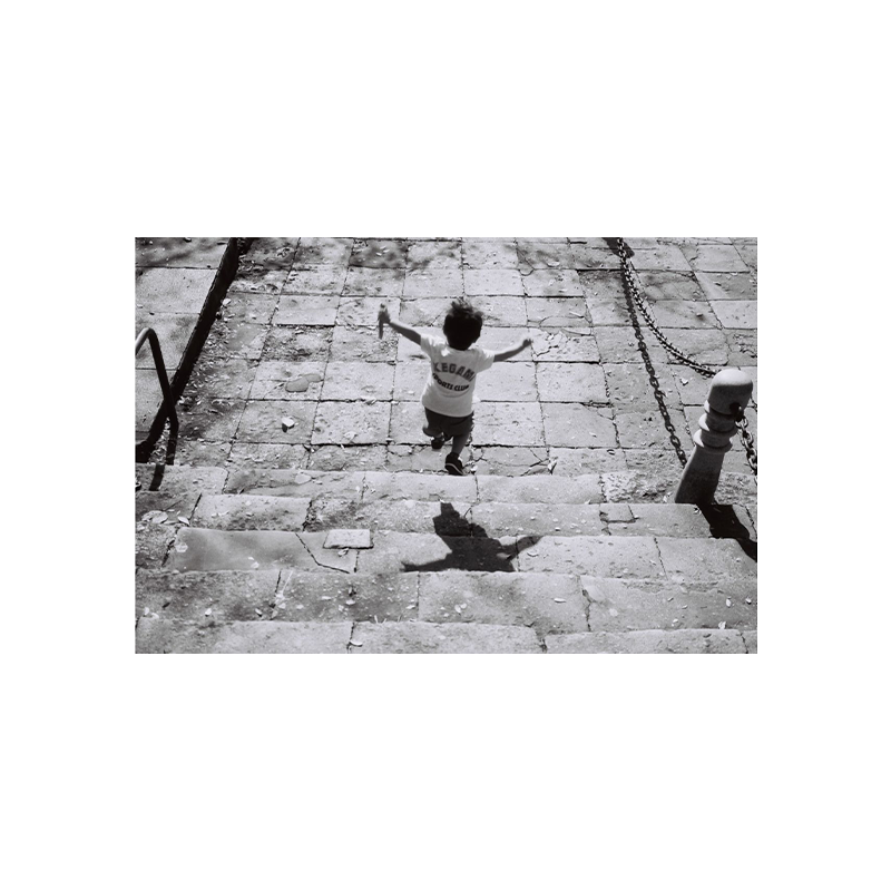 Lomo potsdam_ Lomo potsdam