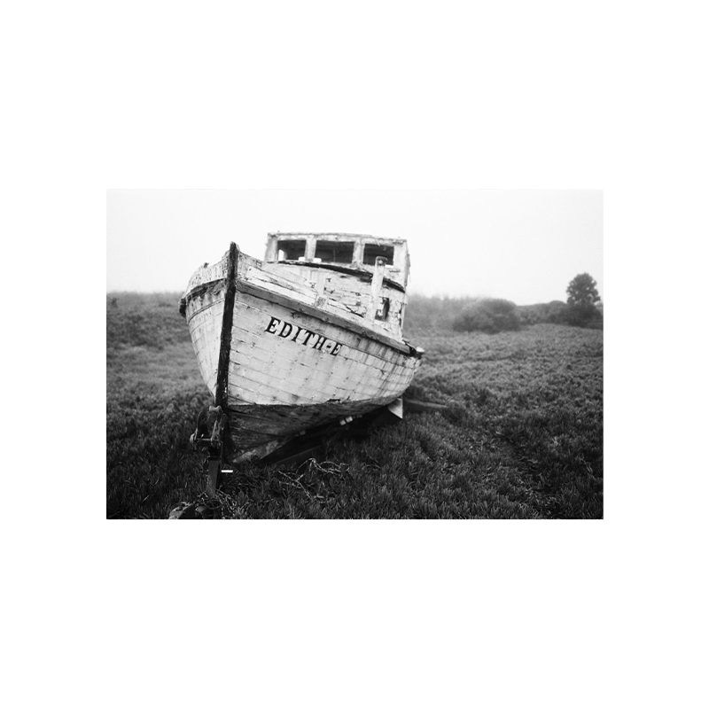 Lomo potsdam_6 Lomo potsdam 6