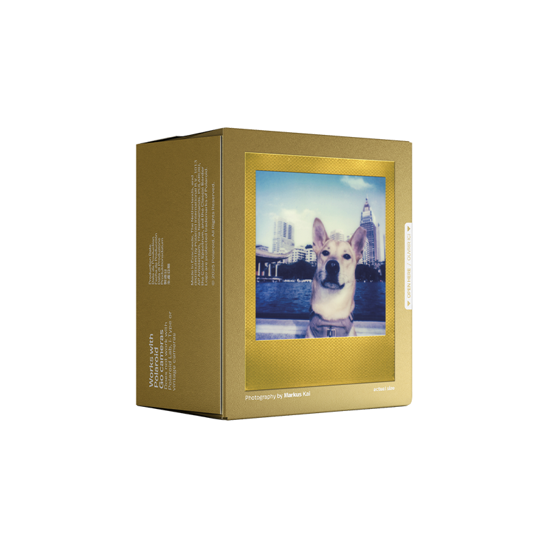 polaroid go gold film 3