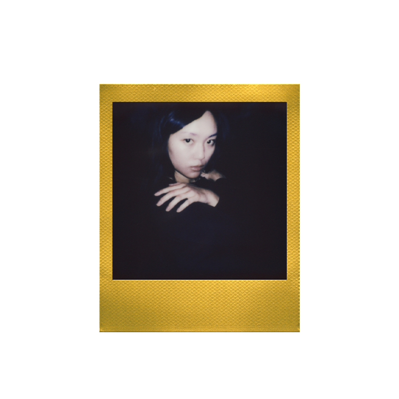 polaroid go gold film 5