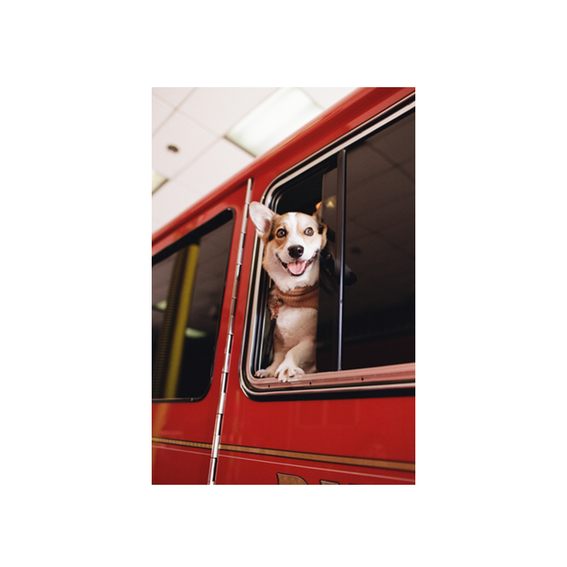 Kodacolor 200_4 Kodacolor 200 4