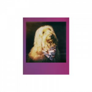 Касета Polaroid Go. Градієнтна Рамка