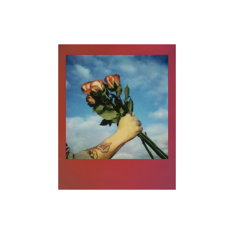 polaroid go gradient 5