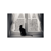 400 TX_6 400 TX 6