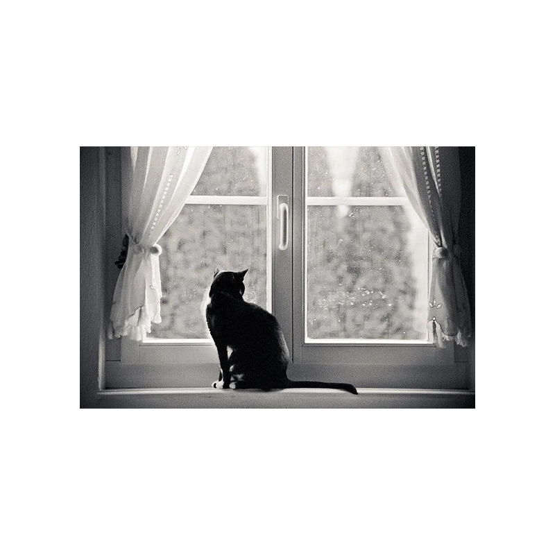 400 TX 6