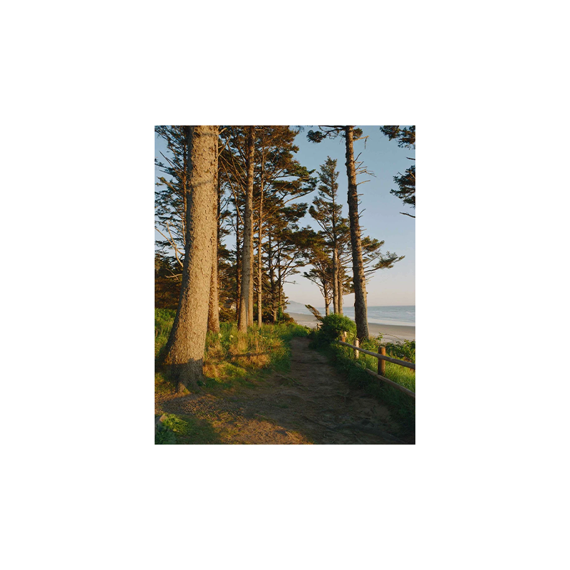 Ektacolor Pro 800 5