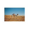 Lomochrome classicolor багаторазка_6 Lomochrome classicolor багаторазка 6